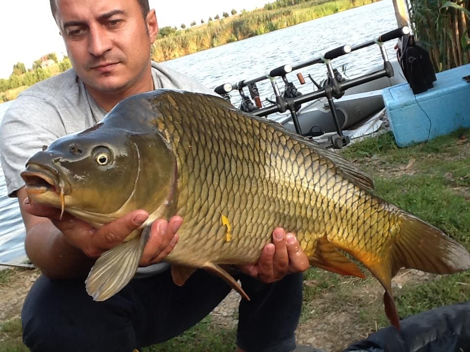 Tancabesti 16.08.2013 - image11.jpg